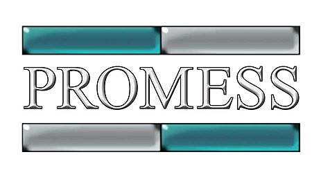 Promess公司标志